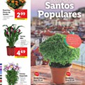 Antevisão Folheto LIDL Promoções de 8 a 14 junho p5.jpg
